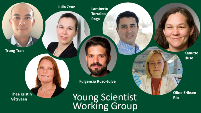 Photos of young scientist working group